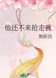 星期天的mega 完结+番外
