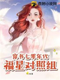 傻王嗜宠：鬼医盗妃